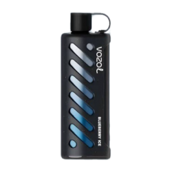 Vozol Gear Shisa 25000 Blueberry Mint